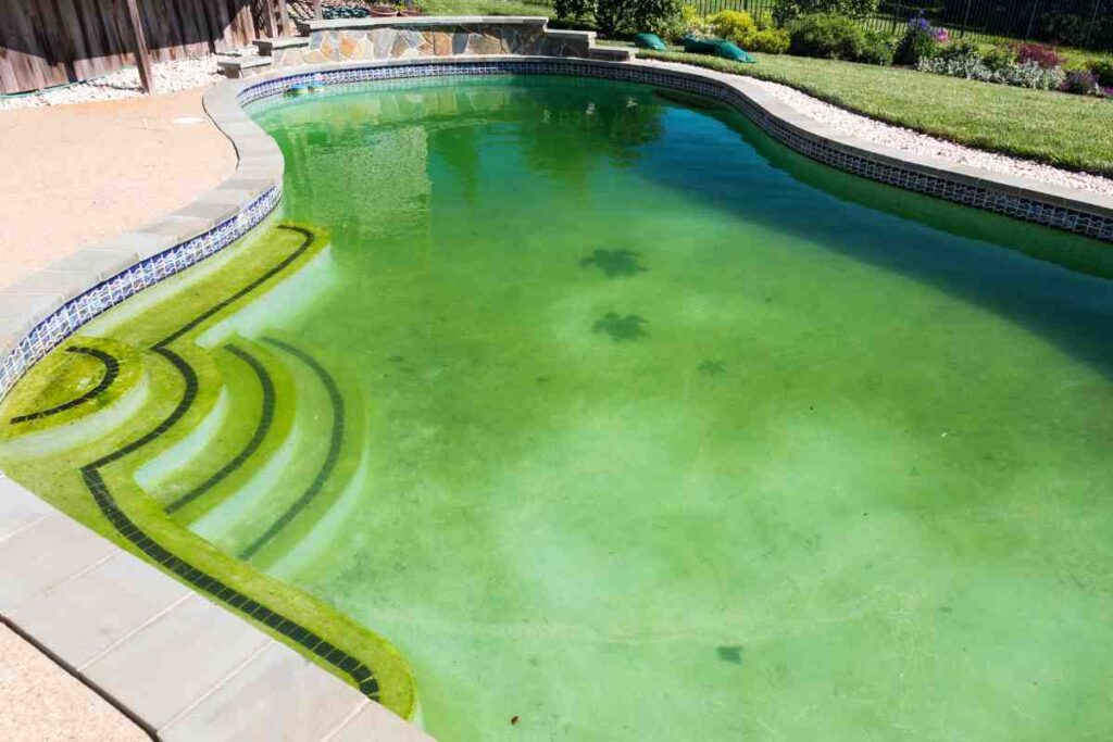 meilleurs remèdes de grand-mère contre l'eau verte de piscine