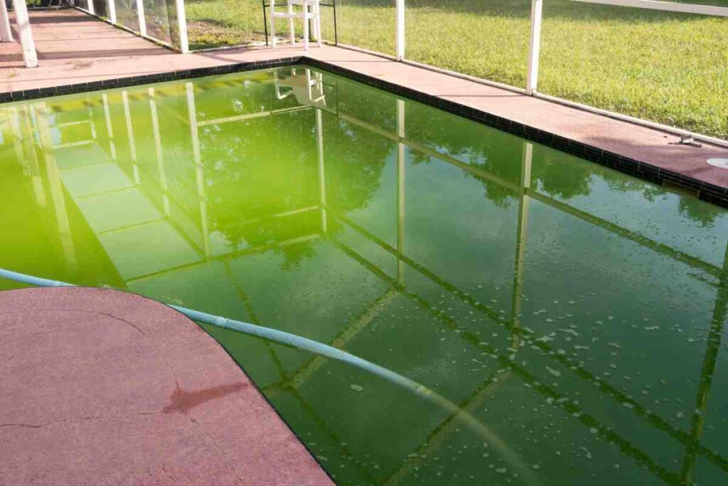 eau de piscine verte remède de grand mère qui fonctionnent