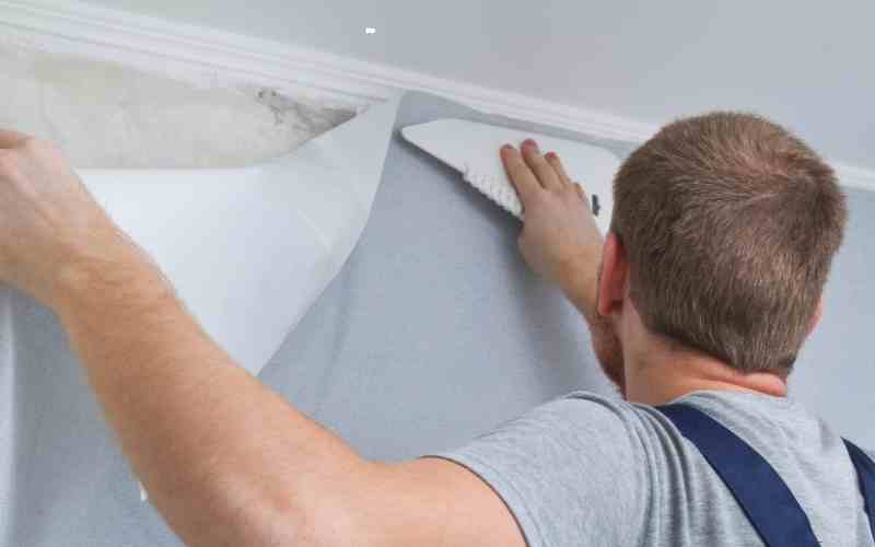 inconvenient Papier peint intissé