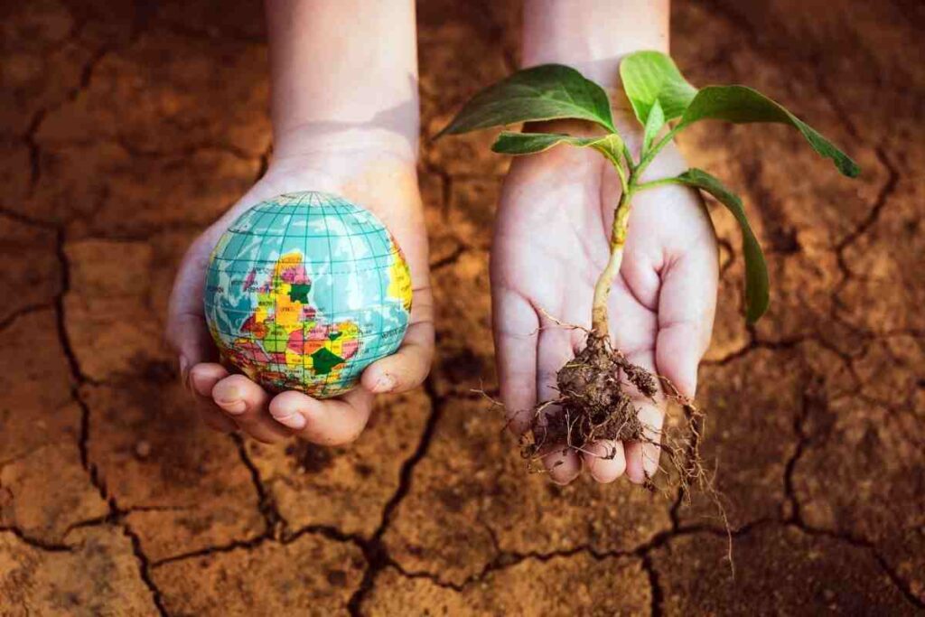 quiz de la journée de la terre google