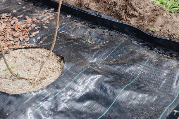 jardin toile paillage espace vert plante