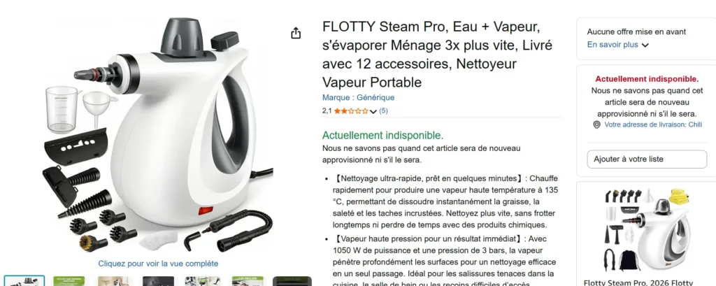 avis sur Amazon sur le nettoyeur vapeur Flotty