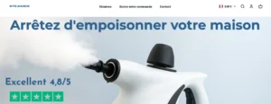 steameo avis nettoyeur vapeur (2)